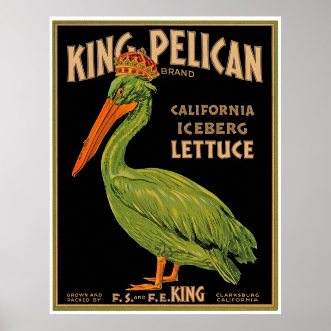 Poster King Pelican Marca Lettuce (Frente)