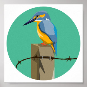 Poster Kingfisher