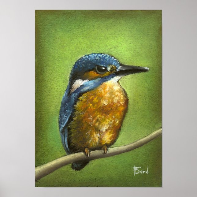 Poster Kingfisher (Frente)