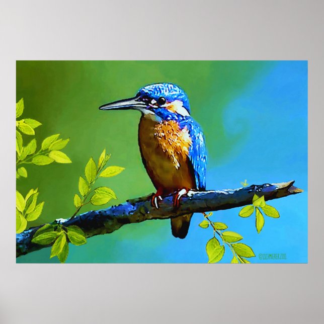 Poster Kingfisher (Frente)