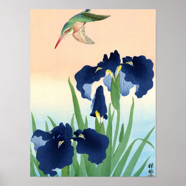 Poster Kingfisher acima de Irises, 1926 por Ohara Koson (Frente)