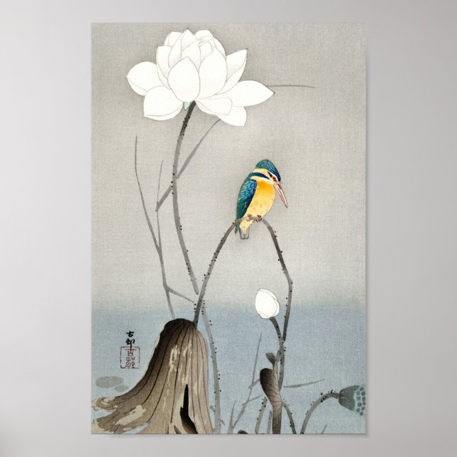 Poster Kingfisher com Flor Lotus - Ohara Koson - 12 (Frente)