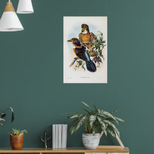 Poster Kingfisher de bico punhado por John Gould