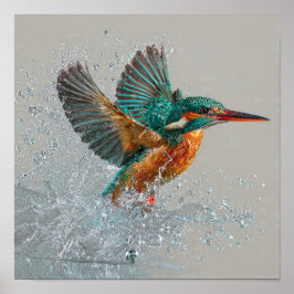 Poster Kingfisher Dive - Caça a Aves Vibrantes em Wa Limp