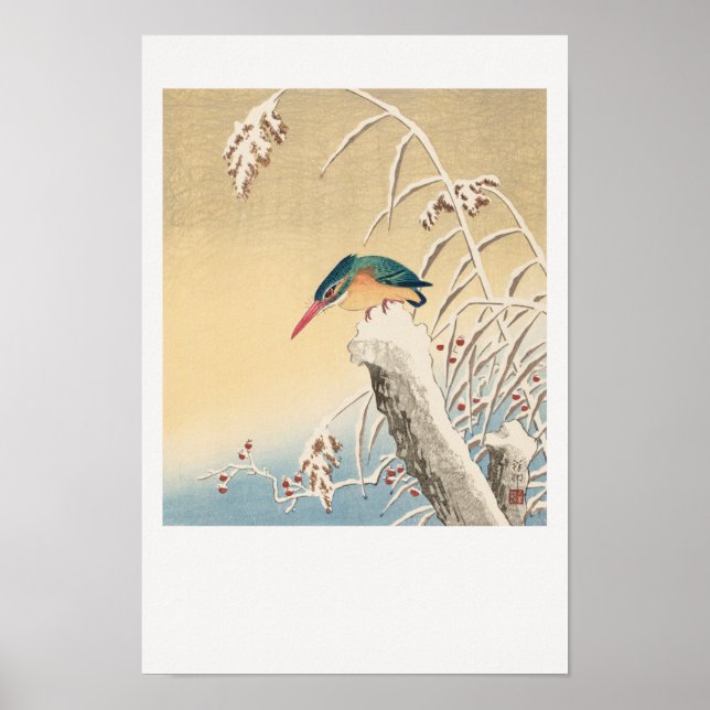 Poster Kingfisher na neve (Frente)