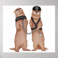 Kinky Otters