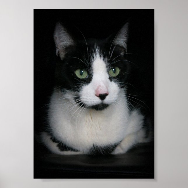 Pôster Kirby (Frente)