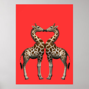 Poster Kissing Girafas