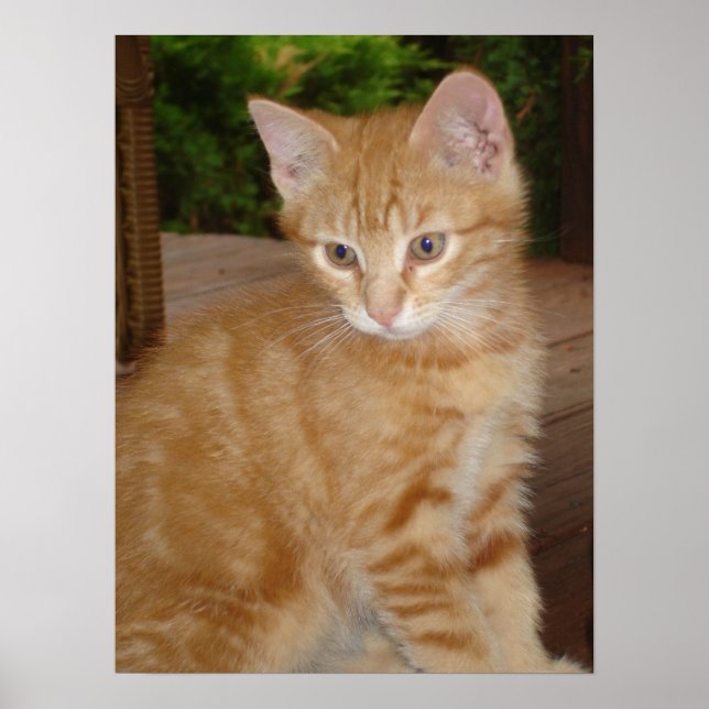 Pôster Kit bonito! (Frente)