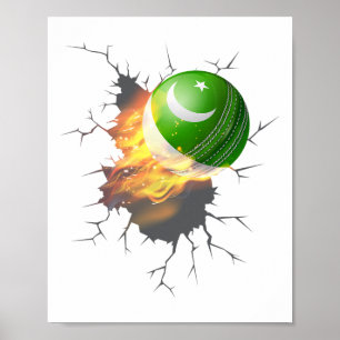 Poster Kit de Suporte ao Críquete Paquistanês Presente Cr