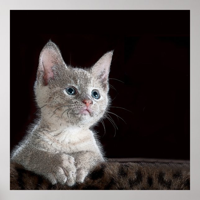Poster Kitten (Frente)