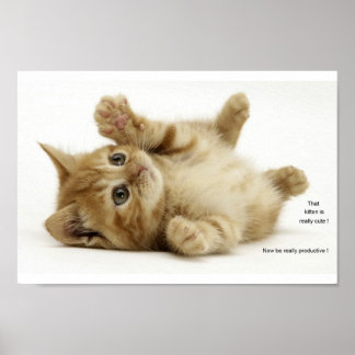Poster Kitten De Produtividade (KITH)