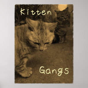 Poster Kitten Gangs