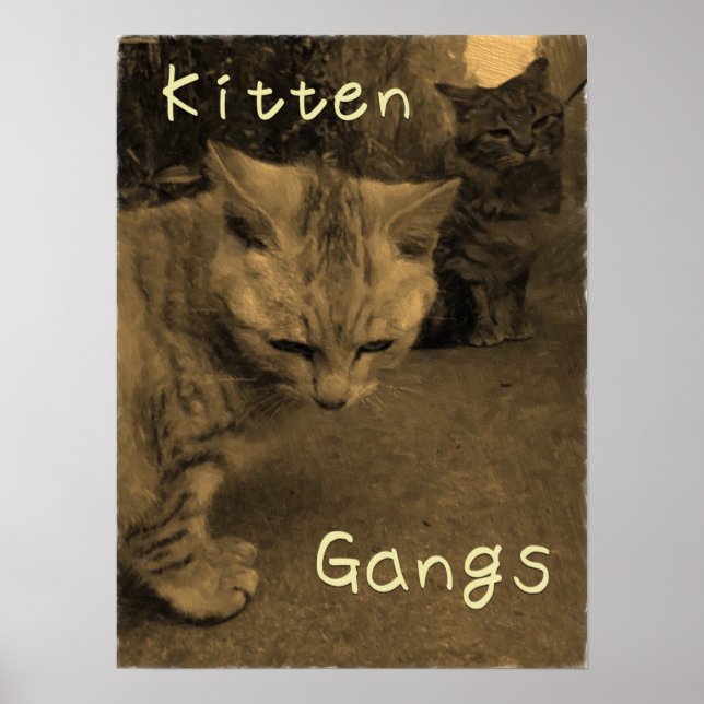 Poster Kitten Gangs (Frente)