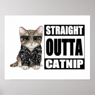 Poster Kitten Hetero Outta Catnip