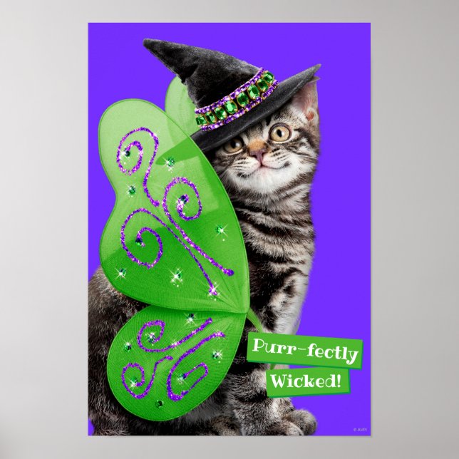Poster Kitten Witch Fairy (Frente)