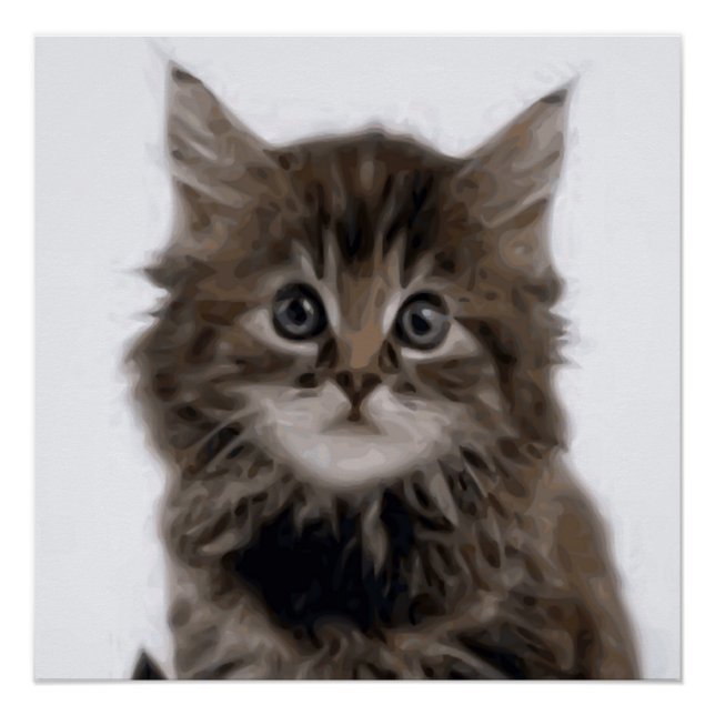 PÔSTER KITTY CAT (Frente)
