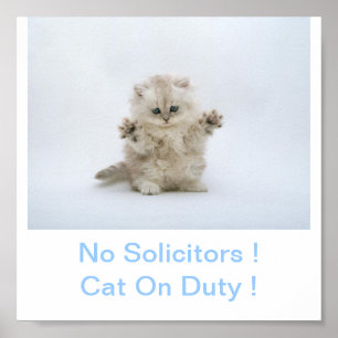 Poster Kitty Cat Sem Sinal de Solicitante
