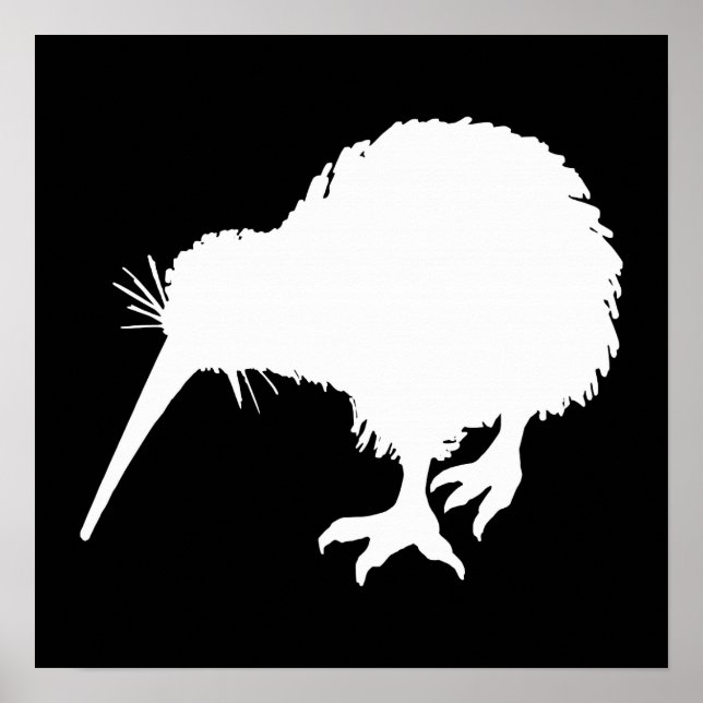 Poster Kiwi Bird (Frente)