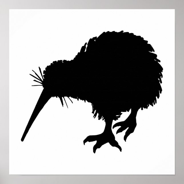 Pôster Kiwi Bird Silhouette (Frente)