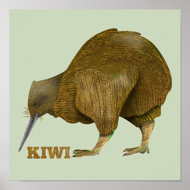 Poster Kiwi N.Z. Bird (Frente)