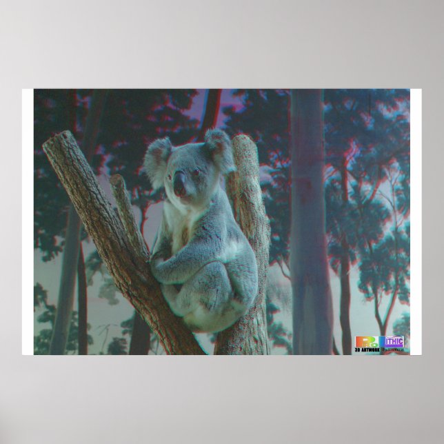 Pôster Koala 3D Anaglyph (Frente)
