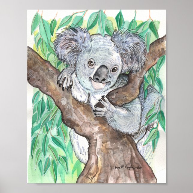 Poster Koala na pintura em árvore de Eucalyptus (Frente)