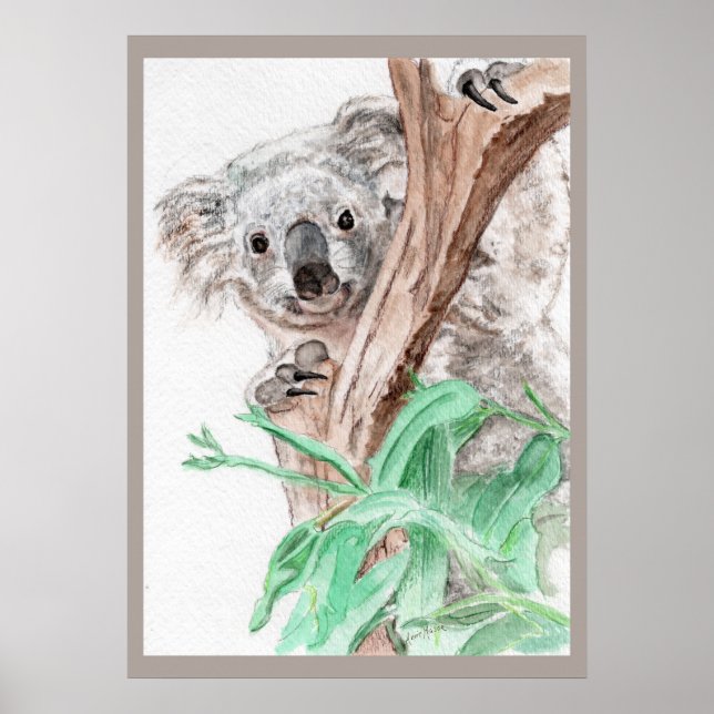 Poster Koala, Peek-a-Boo (Frente)