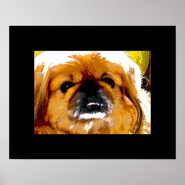 Poster Kochi (Frente)