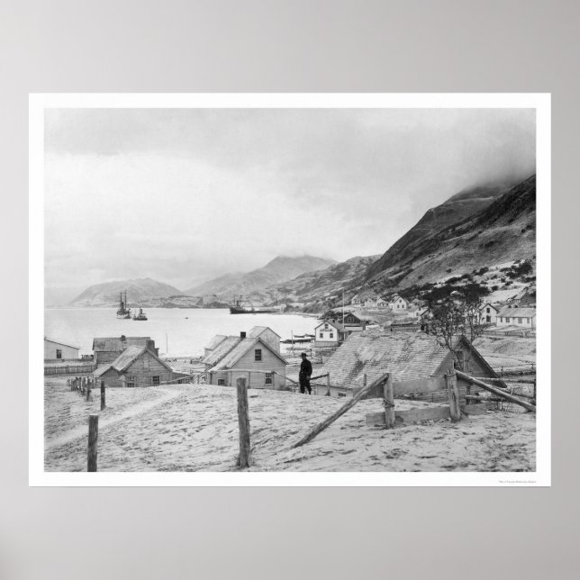 Poster Kodiak, Alaska Panorama 1909 (Frente)