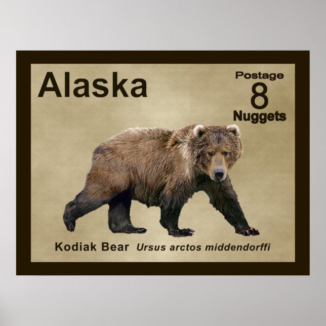 Pôster Kodiak Bear (Frente)