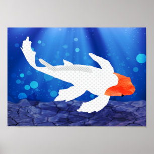 Pôster Kohaku Koi 03