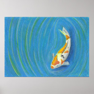 Pôster Koi