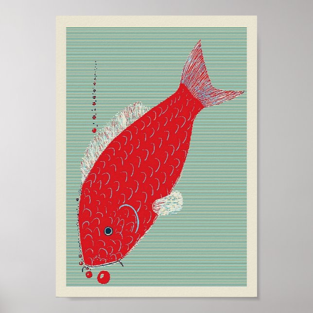 Pôster Koi Carp Japonês (Frente)