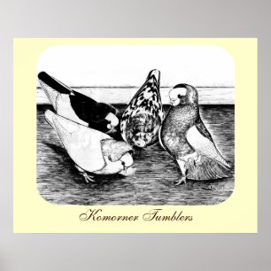 Poster Komorner Tumbler Quartet
