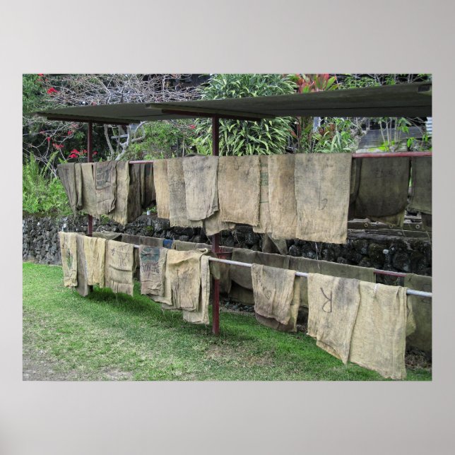 POSTER KONA COFFEE BOLSAS SECAS EM RACK - HAWAII (Frente)