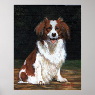 Pôster Kooikerhandje Portrait