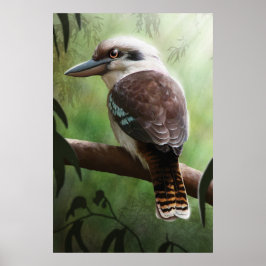 Pôster Kookaburra