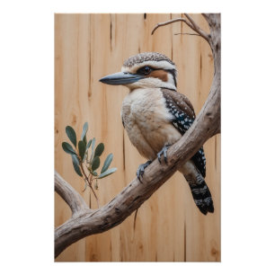 Pôster Kookaburra australiano em uma Arte da Vida Selvage