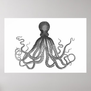 Pôster Kraken - Octopus Gigante Negro / Cthulu
