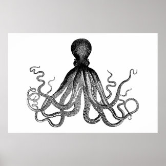 Pôster Kraken - Octopus Gigante Negro (extra grande)