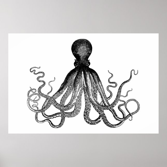 Pôster Kraken - Octopus Gigante Negro (extra grande) (Frente)
