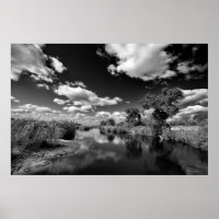 Kruger Quiescence