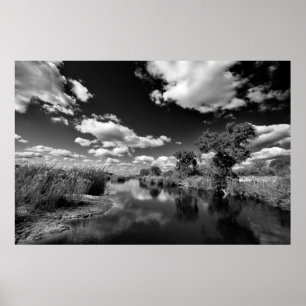 Pôster Kruger Quiescence