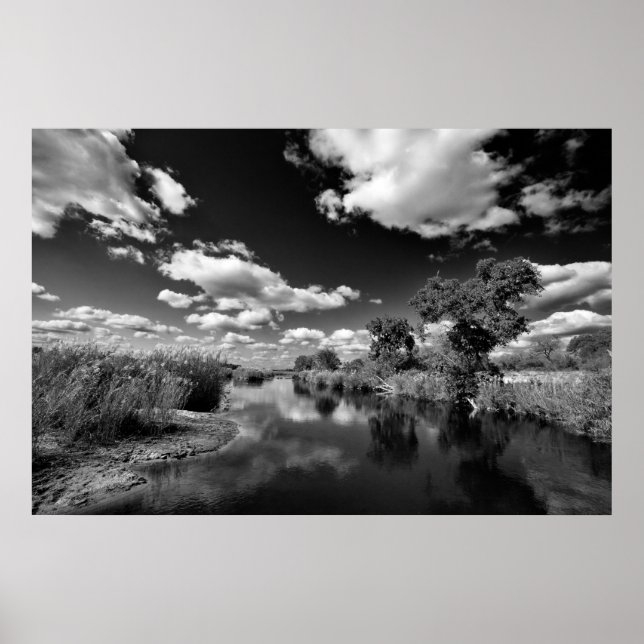 Pôster Kruger Quiescence (Frente)