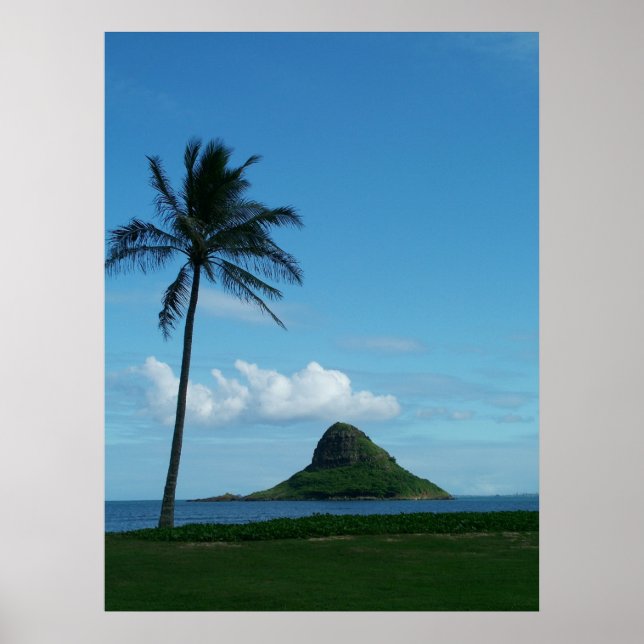 Poster Kualoa 1 (Frente)