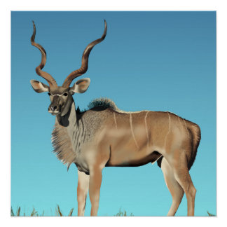 Pôster Kudu