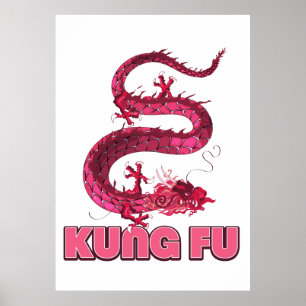 Poster kung fu