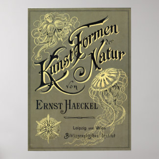 Poster Kunstformen der cobrir