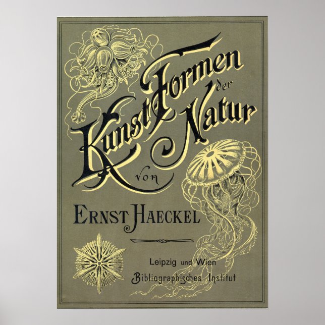 Poster Kunstformen der cobrir (Frente)